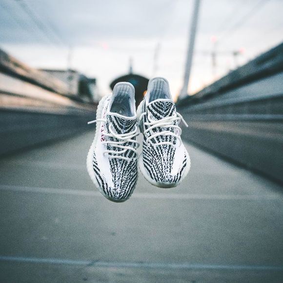 Meet your Posher, Noah - Picture 1 of 1